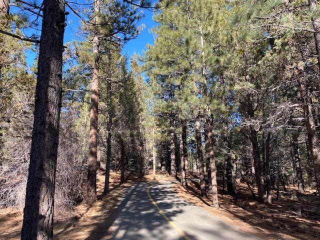 The Fox Paw Vila Big Bear Lake Exterior foto